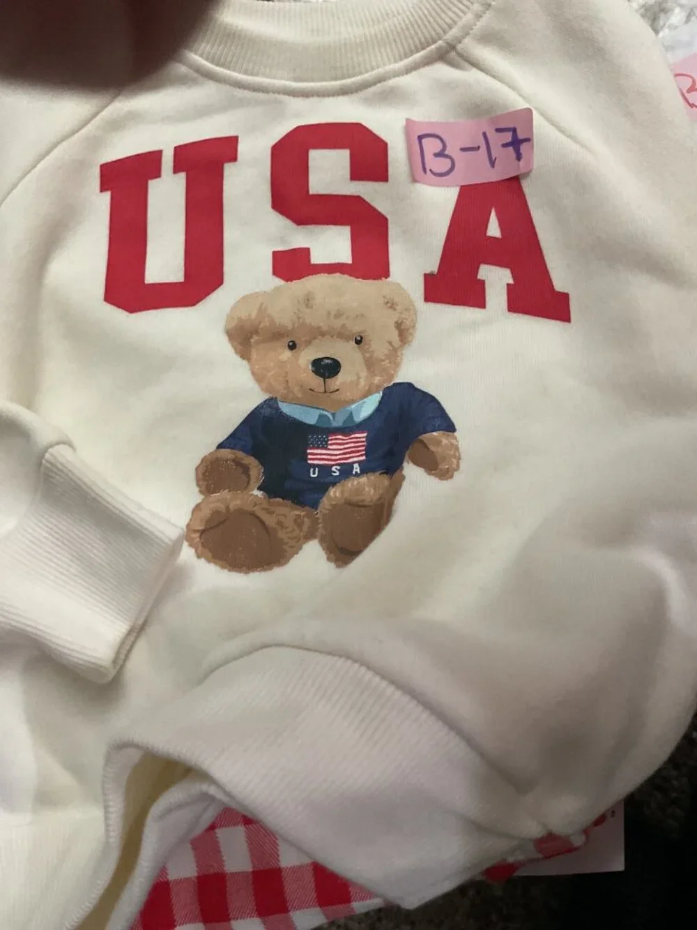 USA target Teddy Bear Sweatshirt & Red Gingham Shorts Set 2T - Toddler Outfit